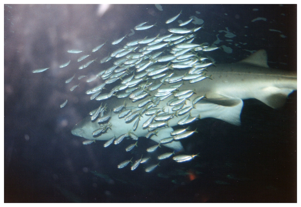 04 - Queensland (18).jpg